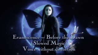 Evanescence  Before the Dawn Slowed Magic  Reverb Voice without distortion [upl. by Etheline]