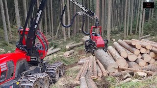 🌲 Komatsu 931xc amp C144 im Starkholz 🌲 [upl. by Dranoel683]