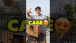 New Cage For Cats 💀😍  Mini Vlog shorts minivlog ashortaday vlog tranding cats [upl. by Dyan]