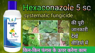 Hexaconazole 5 sc fungicide कामकीमत और डोज देखें वीडियो में पूरी जानकारी [upl. by Dloraj]