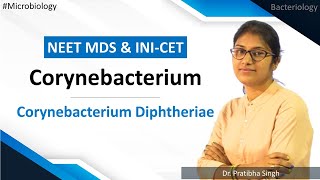 Microbiology  Bacteriology  Corynebacterium Diphtheriae  Corynebacterium  NEET MDS  INICET [upl. by Calle489]