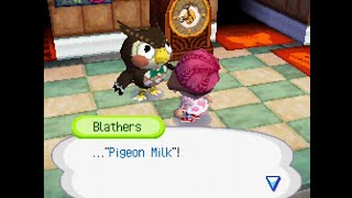 Blathers Talking About Brewsters Coffee in Animal Crossing Wild World [upl. by Elfstan]