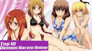 Top 10 Best DemonHarem Anime [upl. by Geoffry]