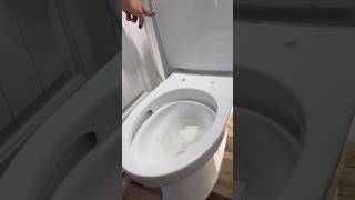 installing the best commode money can buy [upl. by Aznofla21]