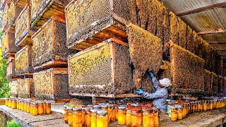 How Biggets Bee Farms Raise Billions Bees And Process Millions Tons Of Honey  Honey In Factory [upl. by Aicilak]