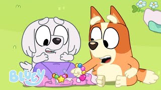 Passe le paquet 🎁  Épisode complet Saison 3  Bluey Français Chaîne Officielle [upl. by Krid]