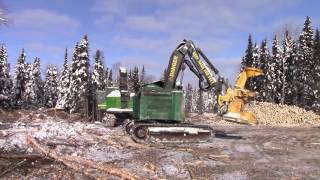 1995 Timberjack 608 Feller Buncher [upl. by Mccandless]