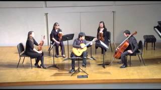 Vivaldi  Concerto for Lute and Strings [upl. by Housum562]