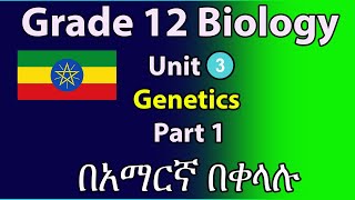 Biology  Intro to Cell Structure  Quick Review [upl. by Nivlam]