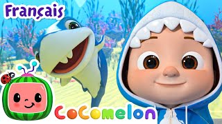 Bébé Requin version Sousmarin   CoComelon en Français  Chansons pour bébés [upl. by Aniretake182]