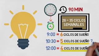 ¿Cuánto tiempo debes dormir para ser productivo Mito de las 8 horas [upl. by Daniyal630]