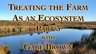 Treating the Farm as an Ecosystem Part 3 with Gabe Brown [upl. by Ocramed483]