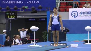 Alex Naddour  Vault  2014 World Championships  Qualifications [upl. by Arihsan64]