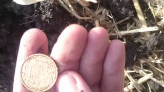 First ever gold sovereign coin  metal detecting [upl. by Korie]