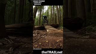 Mount Fromme Trail Ladies Only mtb mountainbike mtblife [upl. by Anica590]