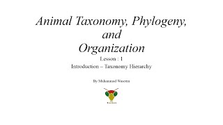 Animal Taxonomy Phylogeny and Organization Lesson  1 Introduction – Taxonomy Hierarchy [upl. by Nnywg]