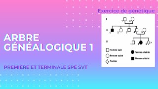 Exercice génétique 🧬  arbre généalogique 1 [upl. by Aehsal487]