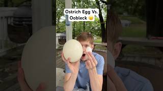 Giant Ostrich Egg Vs Oobleck shorts [upl. by Ebaj]