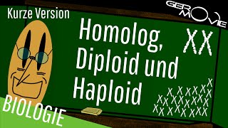 ► Homolog Diploid und Haploid  verständlich erklärt  Kurze Version [upl. by Esta]