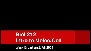 CSULB Biol 212 Fall 2024  Week 13 Lecture 2 [upl. by Augustina]