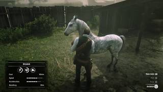 Arabian Horse can also Spawn here in Saint Denis  Red Dead Redemption 2 [upl. by Konopka]