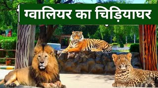 गवालियर चिड़ियाघर  Gwalior zoo  Madhya Pradesh  National Zoological  Park  Animal Park animal [upl. by Aneleasor]