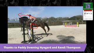 Horse Riding Position Review and Equitation Tips [upl. by Garcia857]