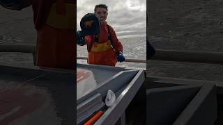 Albacore Tuna FISHING LIVIN RIGHT yakventures tunafishing tuna [upl. by Granoff348]