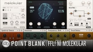 Native Instruments Molekular  How it Works FFL [upl. by Teagan]