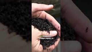 Earthworms Vs Compost Worms [upl. by Eckmann596]