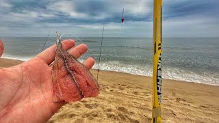 Usei essa ISCA e só veio PEIXE GRANDE Incrível Pesca de praia [upl. by Maureene]