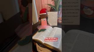 DAY 10 our elf is reading my bible📖 foryou tiktok fypシ [upl. by Anderegg538]