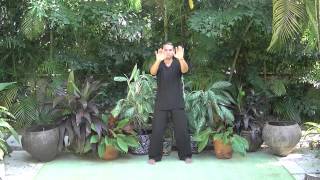 Yi Quan Qigong Set Level 1 Part 1 [upl. by Luigi]