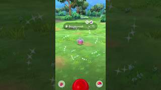 Capturado e evoluindo Bounsweet shiny pokémongobrasil pokémongo [upl. by Corron]