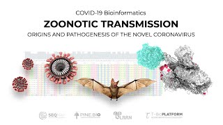 COVID19 Viral Genomes and Zoonotic Spillover [upl. by Leciram]