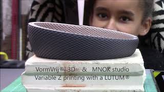 MNOK amp VormVrij®  3D non planar 3d clay printing [upl. by Dimah]