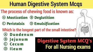 Human Digestive System MCQ  Digestive System Mcq for all nursing exam [upl. by Geibel492]