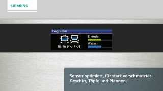 Spülen mit Siemens TFTDisplay [upl. by Terrene]