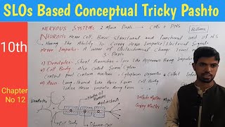 20 Neuron structure Dendrites  cell body  Axon  Myelin sheath biology in pashto [upl. by Dehsar498]