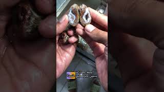 سنگ شانسی گوگولی🥹👽 crystals amatista stone ifhewantedtohewould agate ترند wood crystalshop [upl. by Maharba]