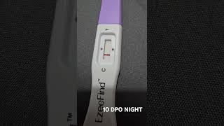 TTC 1  10 DPO night  Pregnancy test  5 days sooner  18 Sept 2024  Negative  Baby Bump ttc [upl. by Hannavas]