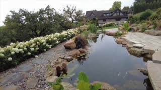 Beautiful koi pond of Eden Prairie mn SD 480p [upl. by Clary]