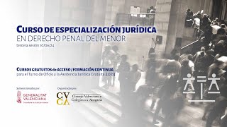 CURSO DE ESPECIALIZACIÓN JURÍDICA EN DERECHO PENAL DEL MENOR 100624 [upl. by Culbert]