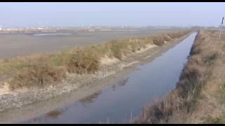 CERVIA Abbondante e di qualità la raccolta 2016 del sale  VIDEO [upl. by Silin]