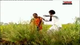 Gondi Song  मामा ना पेडी मनाते वाता  Mama Na Pedi Manate Vata Gondwana [upl. by Nerrag]