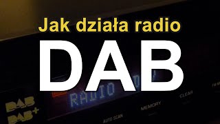 Jak działa radio DAB RS Elektronika 67 [upl. by Rafaelita]