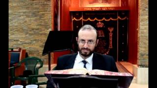 Parashat Ajarei Mot  Kedoshim Rab David Perets [upl. by Powder]