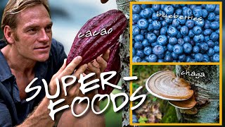 Darin Oliens TOP 10 SUPERFOODS in his PlantBased Diet Immune Boosting Vegan amp Delicious [upl. by Edd]