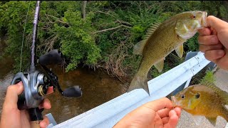 I love creek fishing [upl. by Edals400]