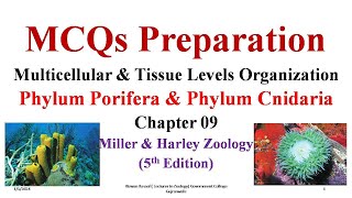 MCQs Phylum Cnidaria Phylum Porifera Sponges Parazoa Porifera Sponges FPSC SPSC KPSC PPSC [upl. by Walden402]